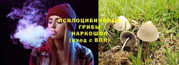 прущая мука Касимов