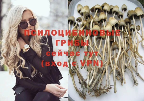 ешки Алексеевка