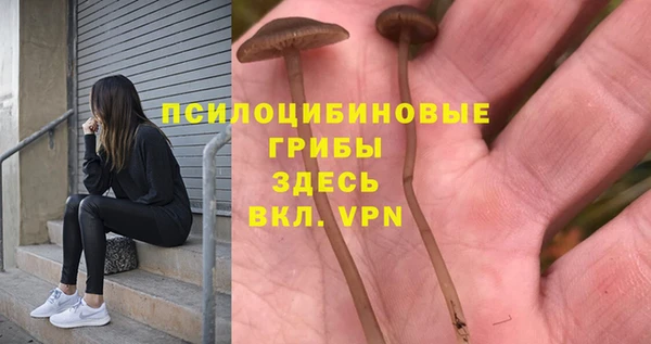 винт Абинск